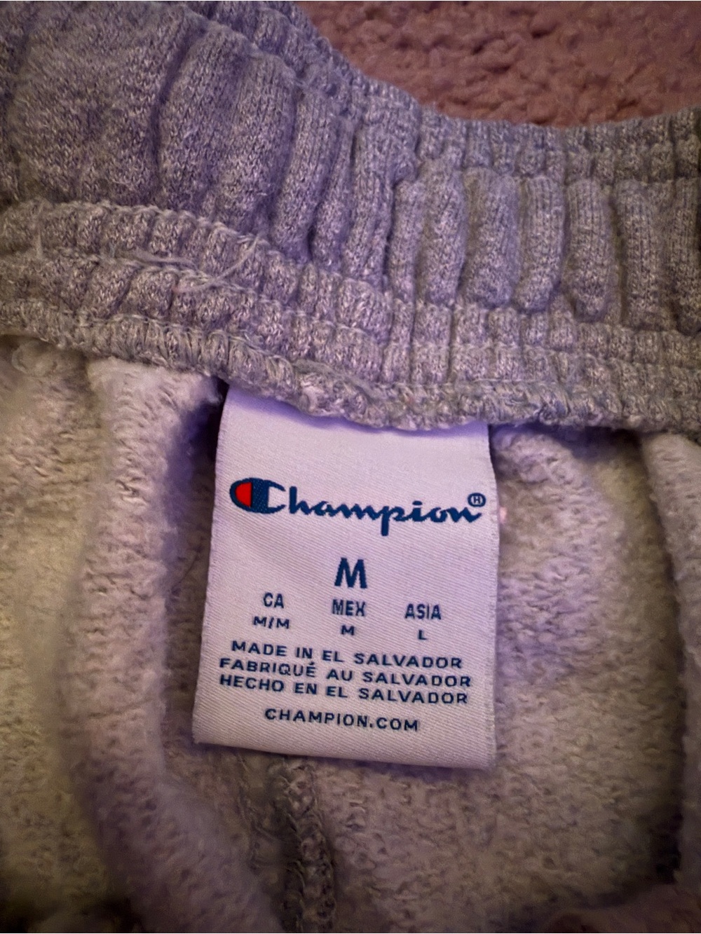 Champion Gray Sweatpants with Embroidered Logo - Picture 4 of 4